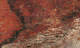 Dinosaur Bone Rock Slab 480