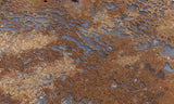 Dinosaur Bone Rock Slab 487