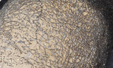 Dinosaur Bone Rock Slab 478