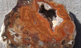 Dryhead Agate Rock Slab 99