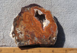 Dryhead Agate Rock Slab 99