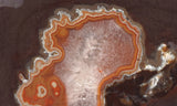 Dryhead Agate Rock Slab 98