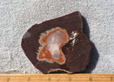 Dryhead Agate Rock Slab 98