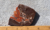 Dryhead Agate Rock Slab 95