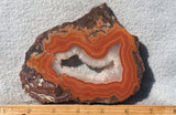 Dryhead Agate Rock Slab 97