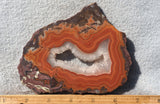 Dryhead Agate Rock Slab 97