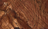 Deschutes Jasper Rock Slab 98