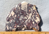 Exotica Jasper Slab 67