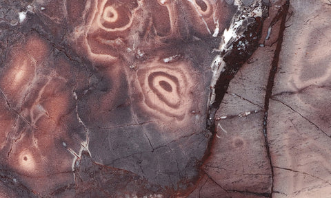 Exotica Jasper Slab 69