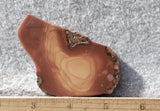 Bruneau Jasper Rock Slab 451