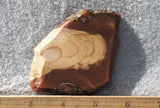 Bruneau Jasper Rock Slab 448