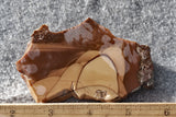 Bruneau Jasper Rock Slab 454