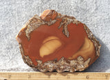 Bruneau Jasper Rock Slab 453