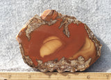 Bruneau Jasper Rock Slab 453