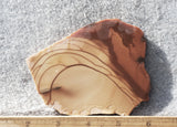 Bruneau Jasper Rock Slab 444