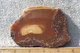 Bruneau Jasper Rock Slab 455