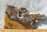 Cathedral Agate Rock Slab 385