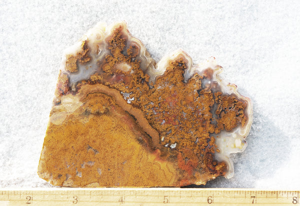 Cathedral Agate Rock Slab 382 – DD Rocks