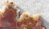 Cathedral Agate Rock Slab 387