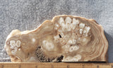 Cave Onyx Rock Slab 35