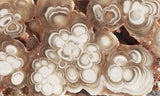 Cave Onyx Rock Slab 42