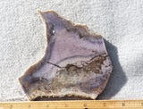 Burro Creek Agate Rock Slab 92