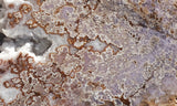 Burro Creek Agate Rock Slab 90