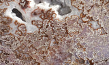 Burro Creek Agate Rock Slab 90