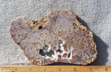 Burro Creek Agate Rock Slab 90