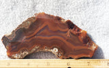 Condor Agate Rock Slab 95
