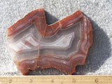 Bargain Bin D Slab 851