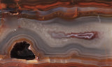 Condor Agate Rock Slab 98