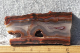Condor Agate Rock Slab 98