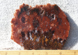 Cady Mountain Rock Slab 178