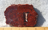 Cady Mountain Rock Slab 175