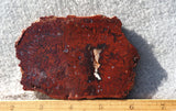 Cady Mountain Rock Slab 175