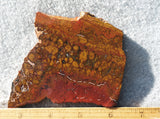 Cady Mountain Rock Slab 181