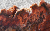 Cady Mountain Rock Slab 185