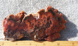 Cady Mountain Rock Slab 185