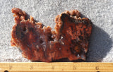 Cady Mountain Rock Slab 190