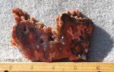 Cady Mountain Rock Slab 190