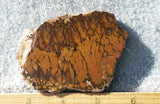 Cady Mountain Rock Slab 176