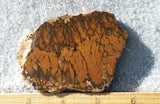 Cady Mountain Rock Slab 176