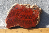 Cady Mountain Rock Slab 180