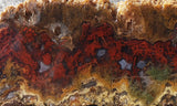 Cady Mountain Rock Slab 194