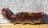 Cady Mountain Rock Slab 194