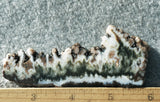 Green Angel Wing Slab 79