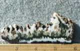 Green Angel Wing Slab 79