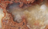 Curiosity Shop Rock Slab 447