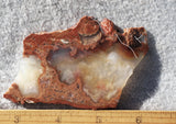 Curiosity Shop Rock Slab 447